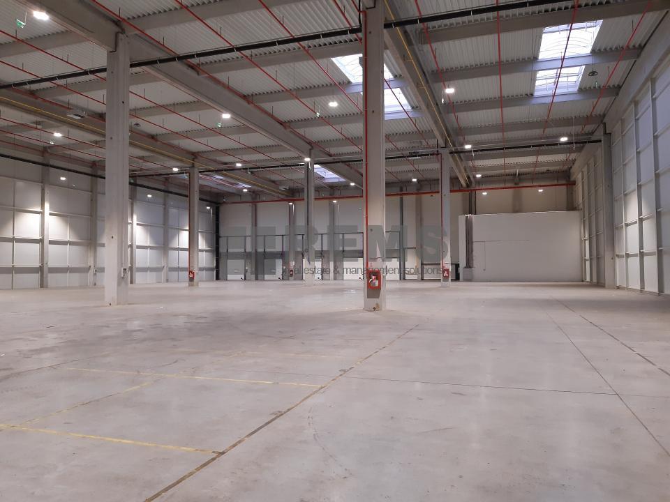 Spatiu industrial de inchiriat in Someseni la 14355 EURO ID: P8641